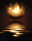 A lit lotus-shaped candle holder reflecting golden light onto dark, rippling water.