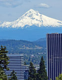 The snow-capped peak of Mount Hood rises behind city buildings and lush green evergreen trees.