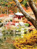 A bright orange Japanese temple nestled among vibrant autumn foliage and a reflective pond.