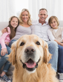 A happy golden retriever sits in the foreground with a smiling family of four blurred in the background.