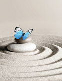 A blue butterfly resting on a stack of stones in the center of a raked sand Zen garden.
