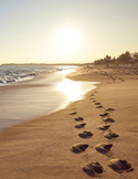 Two sets of footprints walking side-by-side on a sandy beach at sunset near the ocean waves.