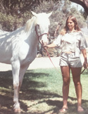 A vintage photo of a young woman in shorts holding the lead rope of a tall white horse outdoors.