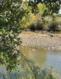 A peaceful view through leafy branches toward a stony riverbank and clear, flowing water.