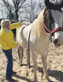 Person in a yellow jacket gently placing hands on a white and brown horse while standing in a sandy outdoor area.